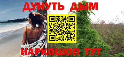 ALPHA PVP Гусев