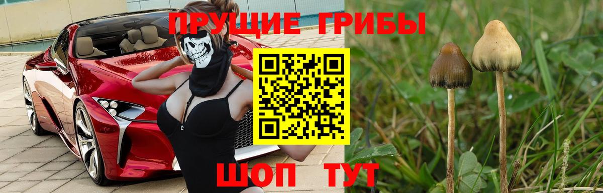 Псилоцибиновые грибы MAGIC MUSHROOMS Орёл